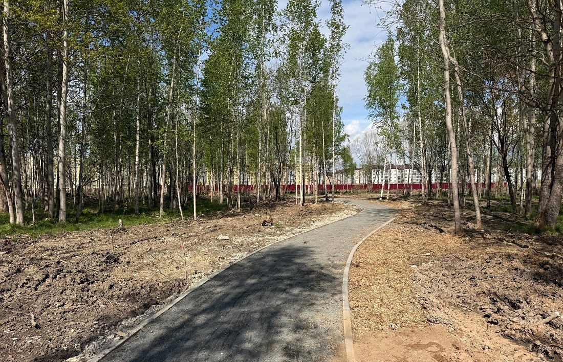 Новые дорожки в парке Берёзовая роща Великого Новгорода